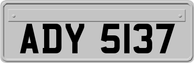 ADY5137