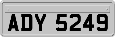 ADY5249