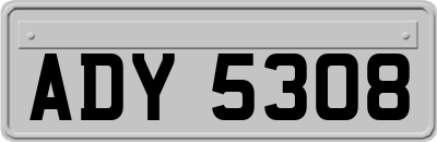 ADY5308