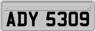 ADY5309