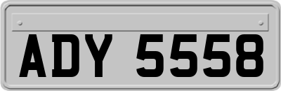 ADY5558