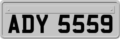 ADY5559