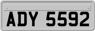 ADY5592