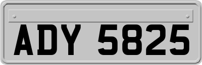 ADY5825