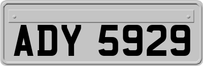 ADY5929
