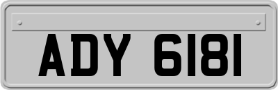ADY6181
