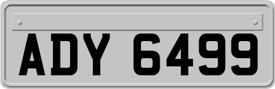 ADY6499