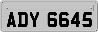 ADY6645