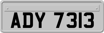ADY7313
