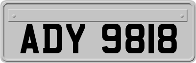 ADY9818