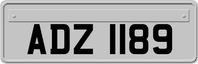 ADZ1189