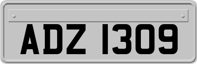ADZ1309