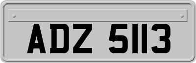 ADZ5113