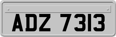 ADZ7313