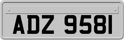 ADZ9581