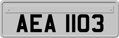 AEA1103