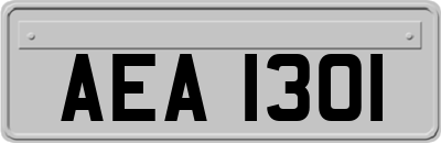 AEA1301