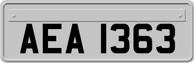 AEA1363