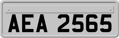 AEA2565