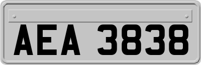 AEA3838