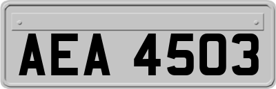AEA4503
