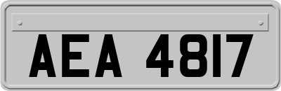 AEA4817