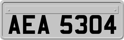 AEA5304