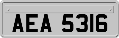 AEA5316