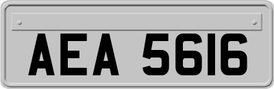 AEA5616