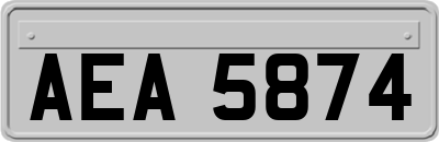 AEA5874