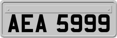 AEA5999