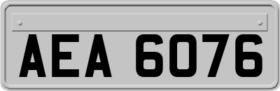 AEA6076