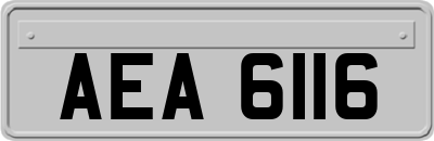 AEA6116