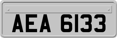 AEA6133