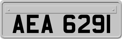 AEA6291