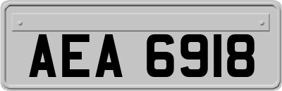 AEA6918