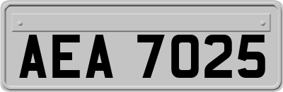 AEA7025