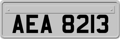 AEA8213