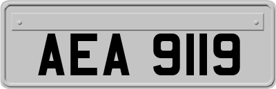 AEA9119