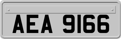 AEA9166