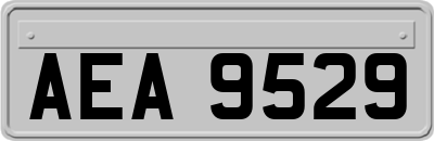 AEA9529