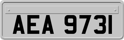 AEA9731