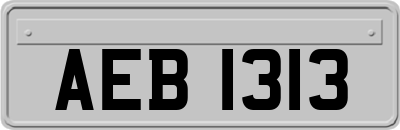 AEB1313