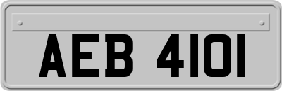 AEB4101