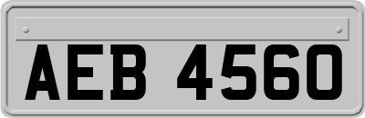 AEB4560