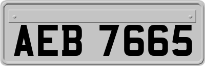 AEB7665