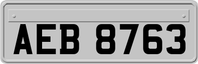 AEB8763