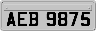 AEB9875