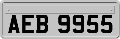 AEB9955