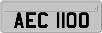 AEC1100